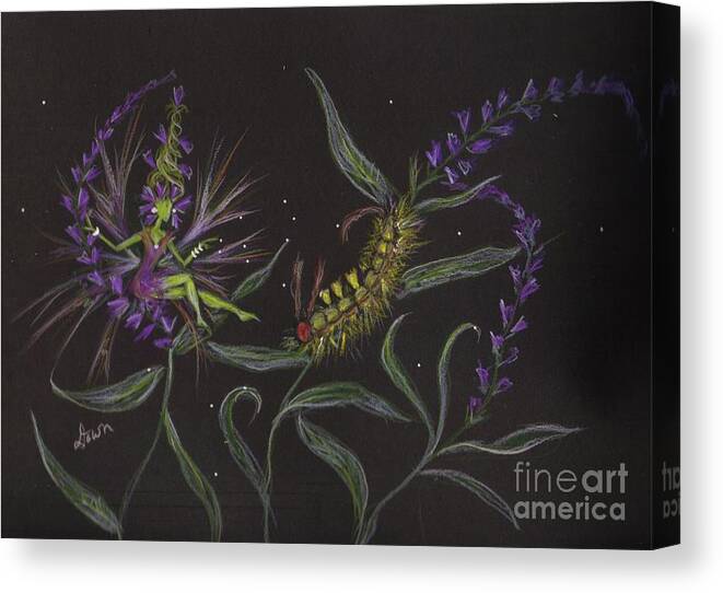 Fairy Canvas Print featuring the drawing You can stay by Dawn Fairies