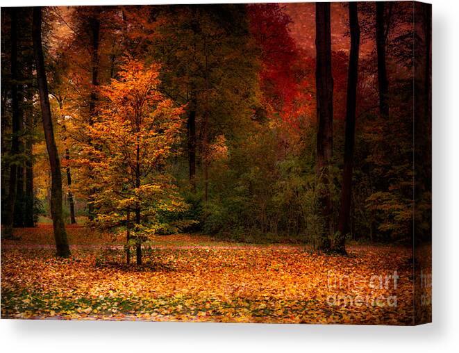 Autumn Canvas Print featuring the photograph Youth by Hannes Cmarits