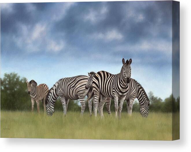 Zebras Canvas Print featuring the painting Zebras Painting #1 by Rachel Stribbling