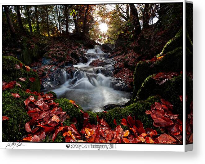 Fall Canvas Print featuring the photograph Falls in the fall by B Cash