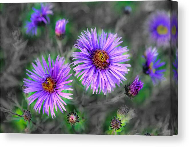 Flowers Canvas Print featuring the photograph Flower Patterns #2 by Steve McKinzie