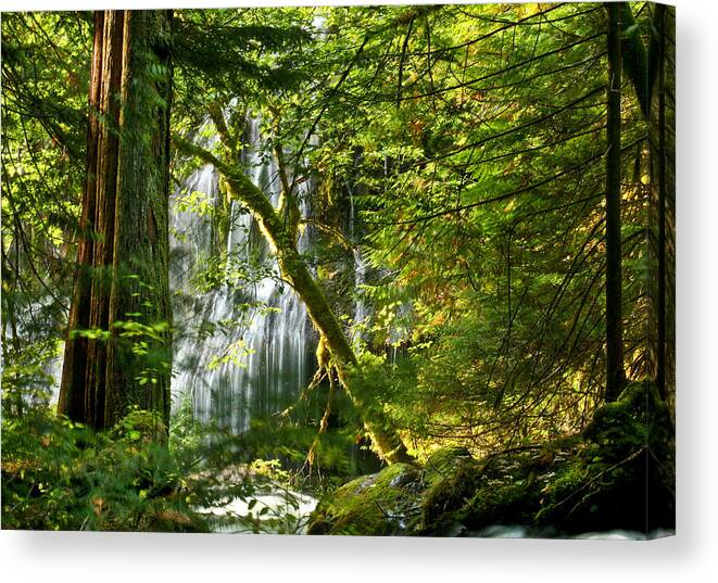Scenic Canvas Print featuring the photograph Panther Creek #2 by Jean Noren