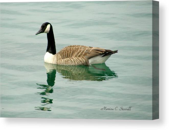  Canvas Print featuring the photograph Spring Collection - Goose in Bay Harbor #1 by Monica C Stovall