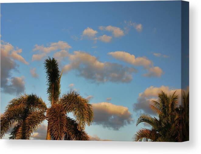 Tropical Canvas Print featuring the photograph 9- Tropical Sky by Joseph Keane