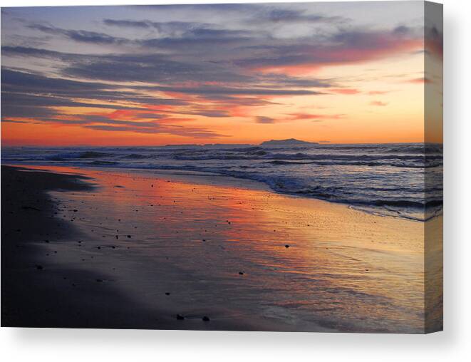 Ocean Canvas Print featuring the photograph A Passion for Purple by Lynn Bauer