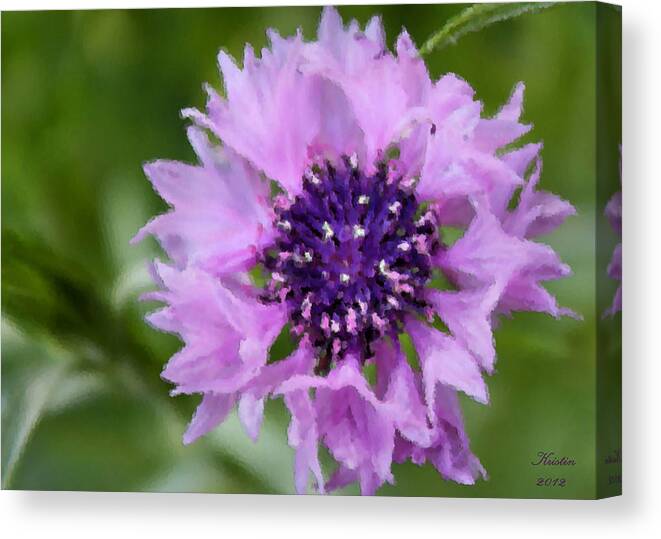 Whisper Canvas Print featuring the photograph A Summer Whisper by Kristin Elmquist