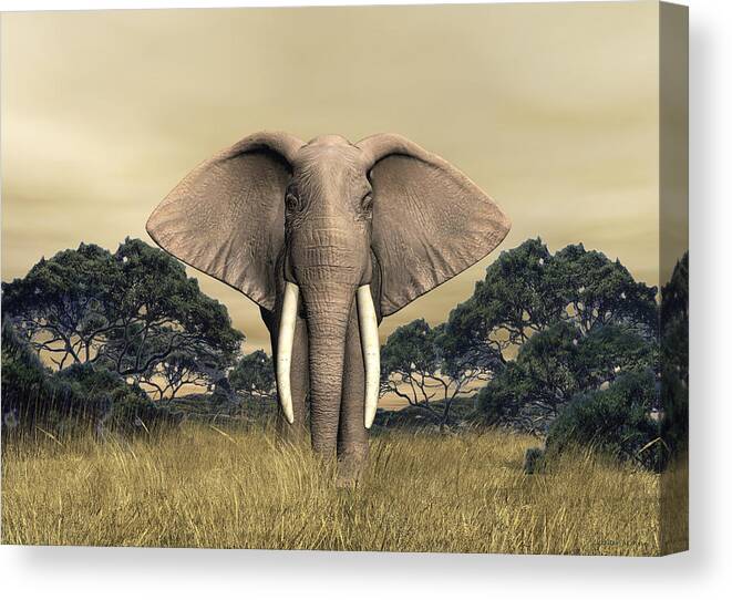 Elephant Canvas Print featuring the digital art African Bull Elephant by Walter Colvin