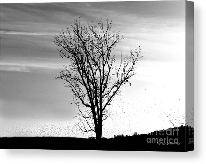 Birds Canvas Print featuring the digital art At End of Day I by Rhonda Strickland