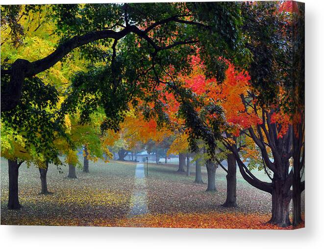 Landscapes Canvas Print featuring the photograph Autumn Canopy by Lisa Phillips