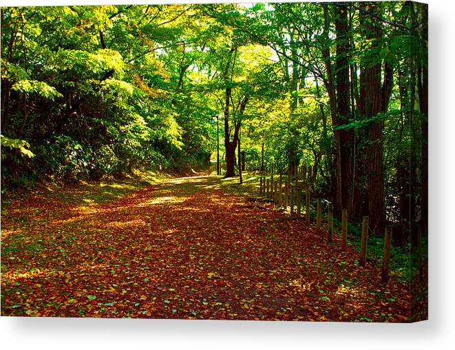 Autumn Canvas Print featuring the photograph Autumn in the Park by Tim Ernst