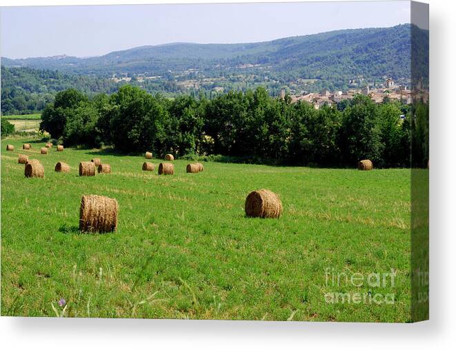 Farmland Canvas Print featuring the photograph Bales of Hay by Andrea Simon