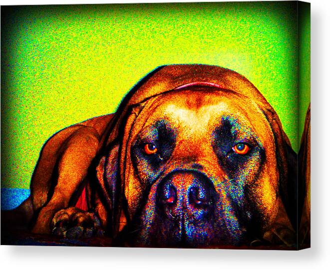 Abstract Canvas Print featuring the photograph Beefy Girl in Bright Colors by Kelly Hazel
