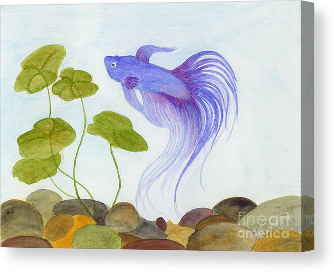 Betta Canvas Print featuring the painting Blue Betta 2 by Jackie Irwin