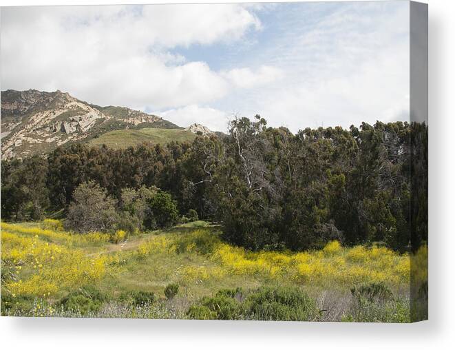 California Canvas Print featuring the photograph California Hillside View III by Kathleen Grace
