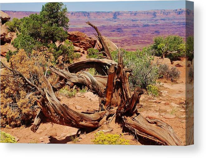 Canyonlands Canvas Print featuring the photograph Canyonlands 2 by Dany Lison