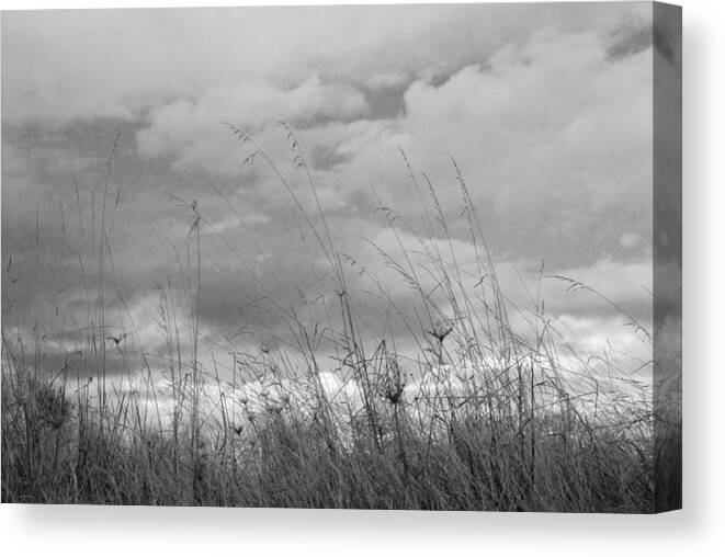 Clouds Canvas Print featuring the photograph Cloud watching by Kathleen Grace