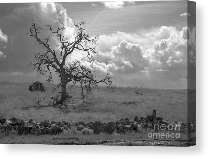 Landscape Canvas Print featuring the photograph Clouds moving in by Richard Verkuyl