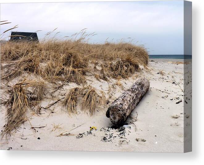 Dunes Canvas Print featuring the photograph Dunes by Janice Drew