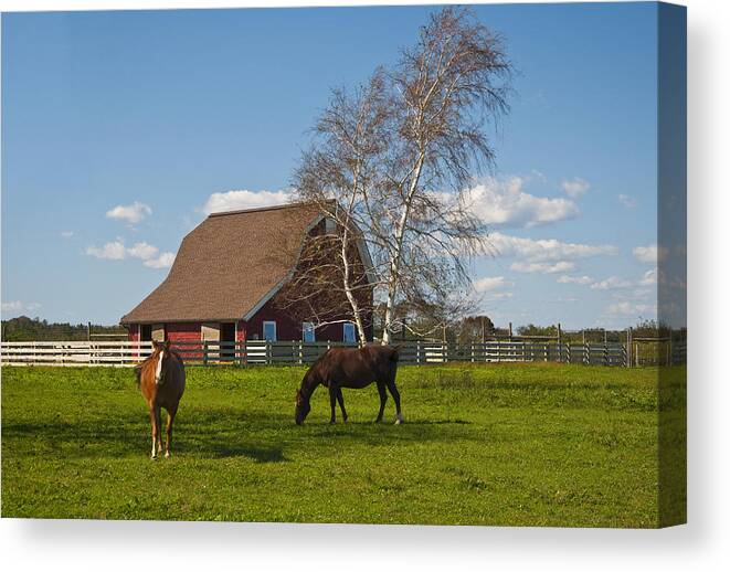 Barn Canvas Print featuring the photograph Duo by Cathy Kovarik