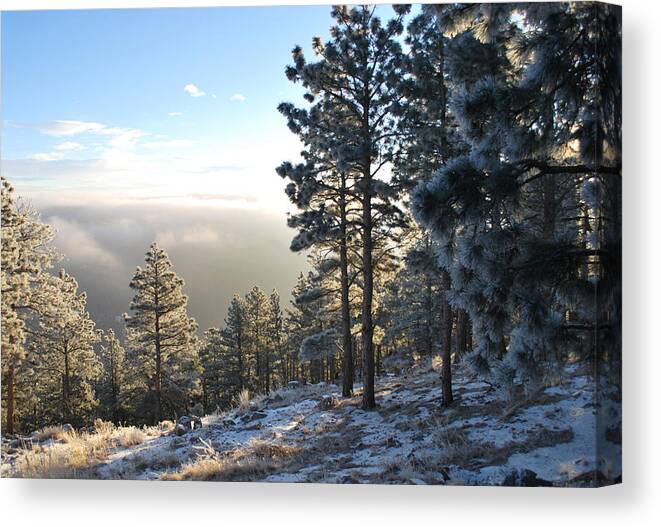 Mountains Canvas Print featuring the photograph Early AM Above Boulder-Photo by William Frew
