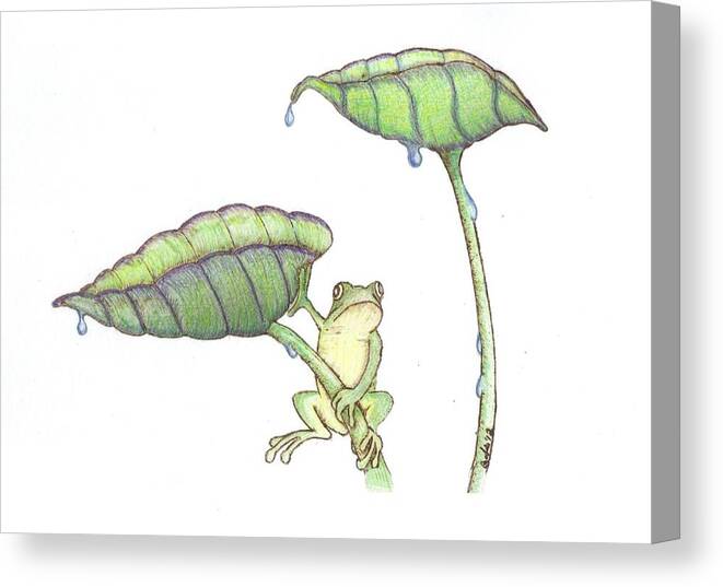 Frog Canvas Print featuring the drawing Early Start by Chad Bridges