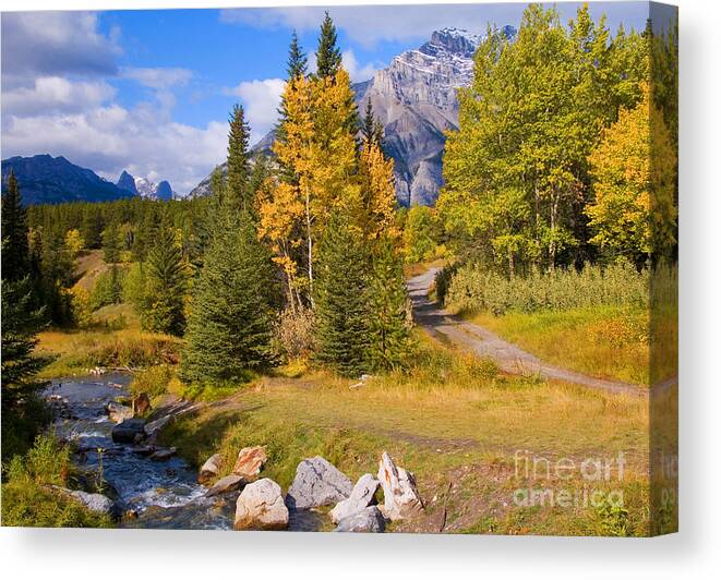 Fall Canvas Print featuring the photograph Fall in Banff National Park by Bob and Nancy Kendrick