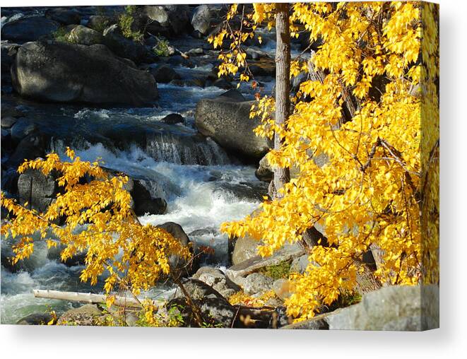 River Canvas Print featuring the photograph Fall Runoff by Wanda Jesfield