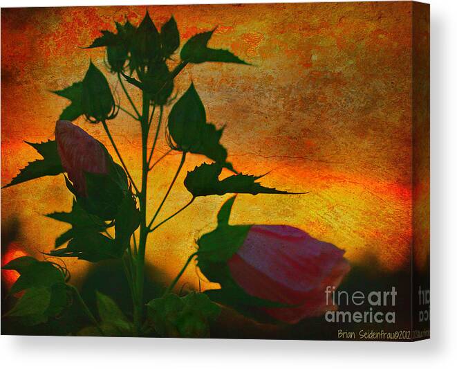 Flowers Canvas Print featuring the photograph Floral Contrast by Brian Seidenfrau