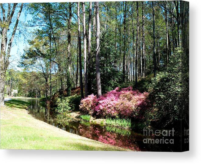 Spring Canvas Print featuring the photograph Flower Creek by Shijun Munns