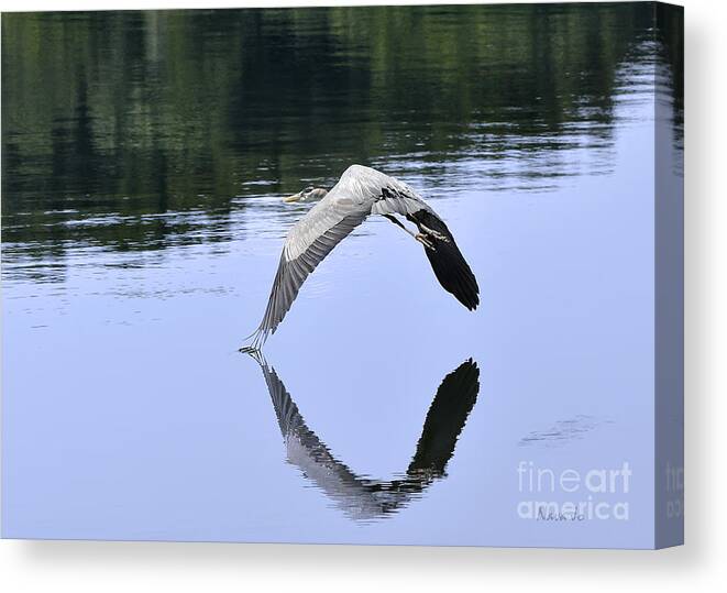 Nature Canvas Print featuring the photograph Graceful Heron by Nava Thompson