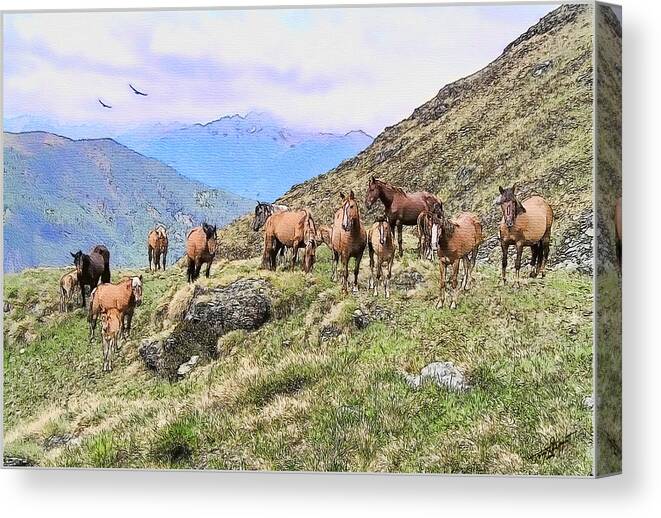 Wild Horses Canvas Print featuring the painting Grazing In The Foothills by Tom Schmidt