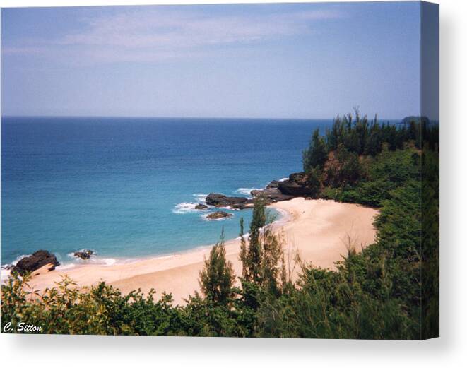 Hawaii Photographs Canvas Print featuring the photograph Hawaiian Breeze by C Sitton