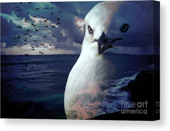 Bird Canvas Print featuring the photograph He Spotted Land and Knew he was Home by Karen Lewis