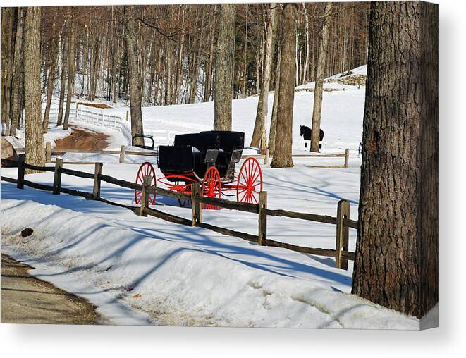 Winter Canvas Print featuring the photograph Horse and Buggy - No Work Today by Janice Adomeit
