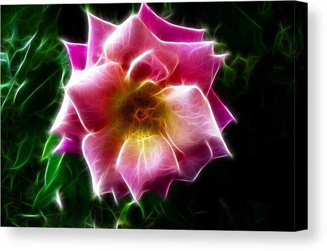 Flowers Canvas Print featuring the photograph In The Mood by Adam Vance