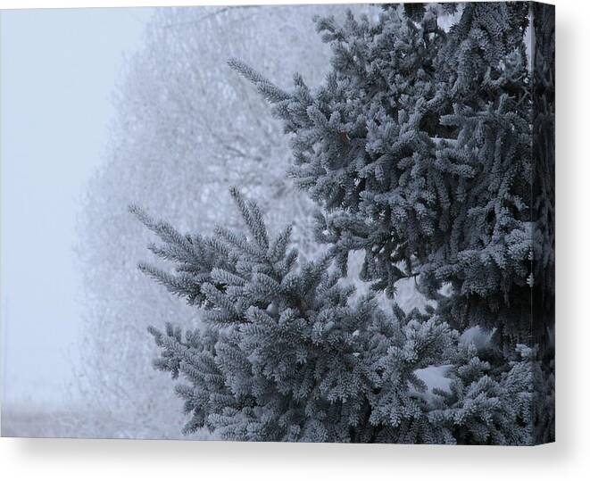 Frost Canvas Print featuring the photograph January by Ellery Russell