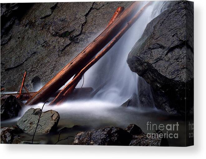 Waterfalls Canvas Print featuring the photograph Jasper - Waterfall Logs by Terry Elniski