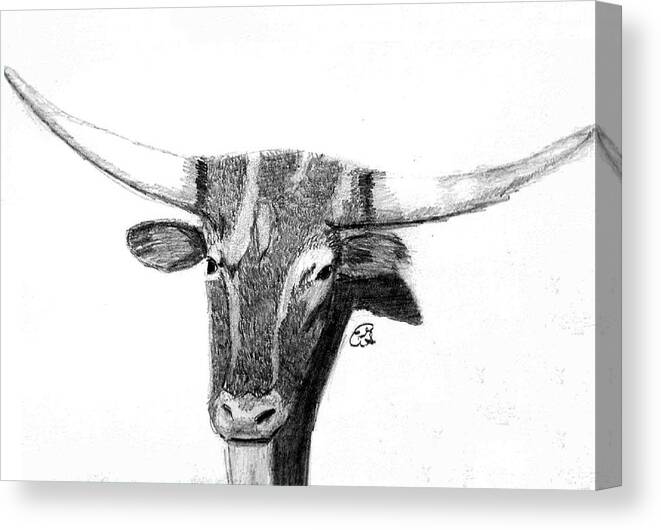 Cattle Framed Prints Canvas Print featuring the drawing Long Horn Steer by Gail Schmiedlin