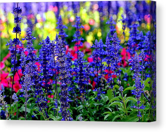 Flowers Canvas Print featuring the photograph Luxury Of Life.... by Tanya Tanski