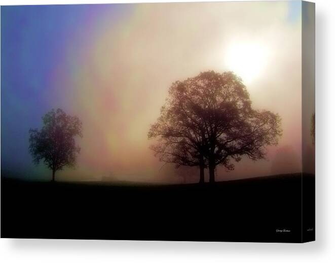 Landscapes Canvas Print featuring the photograph Misty Morning by George Bostian