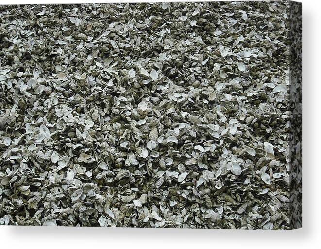 Oysterville Canvas Print featuring the photograph Oyster Piles in Oysterville by Kelly Manning