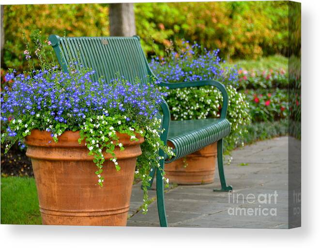 Bench Canvas Print featuring the photograph Park It by Debbi Granruth