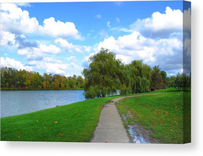  Canvas Print featuring the photograph Path by Michael Frank Jr