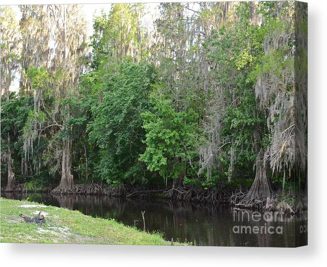 River Canvas Print featuring the photograph Peace by Carol Bradley