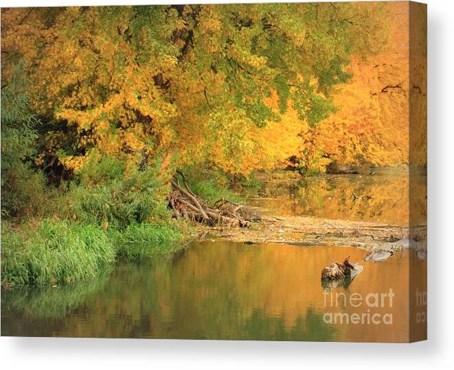Autumn Canvas Print featuring the photograph Peaceful Autumn River by Carol Groenen