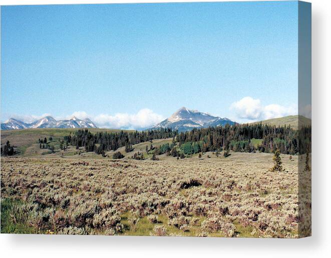 Landscapes Canvas Print featuring the photograph Peaceful Valley by Jan Amiss Photography