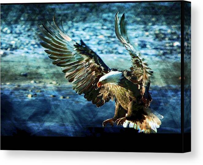 Bald Eagle Canvas Print featuring the digital art Perserverance by Carrie OBrien Sibley