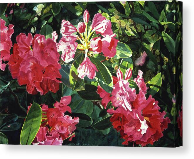 Flower Canvas Print featuring the painting Red Rhodos by David Lloyd Glover