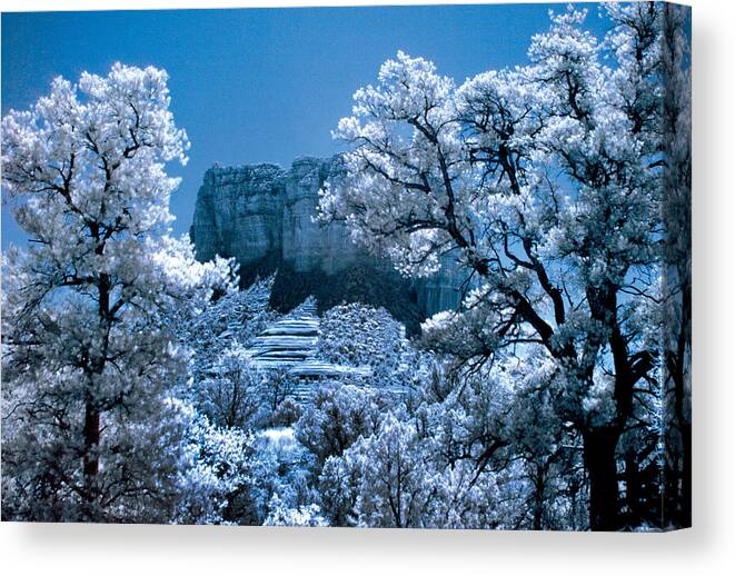 Sedona Canvas Print featuring the photograph Red Rock in Infrared by Jim Painter