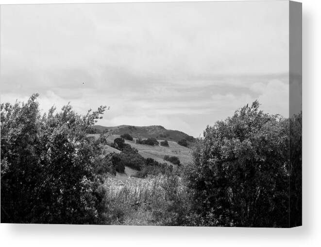 Black And White Canvas Print featuring the photograph Rolling Hills View II - BW by Kathleen Grace